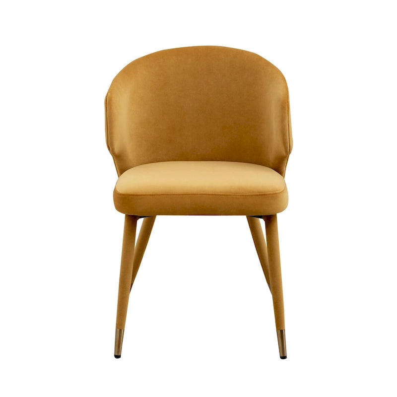 Chaises de salle à manger en velours avec bordure dorée, lot de 2